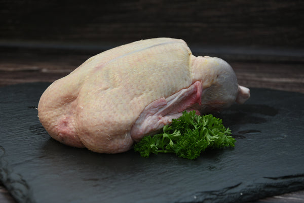 Ente(ca. 3-3,5kg) (männlicheEnte=Erpel) , Preis pro kg 23,90€ - ANZAHLUNG!